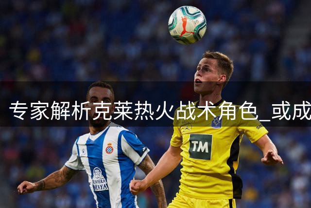 专家解析克莱热火战术角色 或成字母哥绝佳拍档